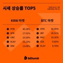 베라시티 이미지