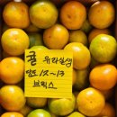 대한청과야채
