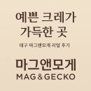 모들샵 | 대구 크레스티드게코 전문샵 ‘마그앤모게’ 방문기 – 직접 본 후기와 추천 포인트!!