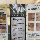 엑스날목동