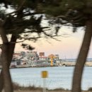 UR(포항시)-[중앙로]-하-4 | 청주에서 영덕여행 N번째 다녀온 1박2일 여행코스★彡