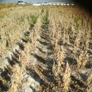 우람농장 이미지