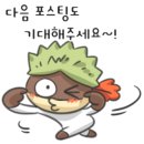 토예랑 이미지