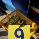 동해수산초장집 이미지