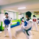 휘트니스 태권도장 | [서울 성인태권도] 외국인이 검증한 금강태권도장, 성인이 태권도를 다시 시작할 때 얻는 3가지 이점