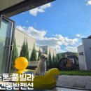 힐스톤애견풀빌라 이미지