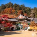 오대산 단풍 이미지