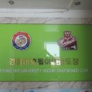 경희대 호돌이 태권도장 이미지