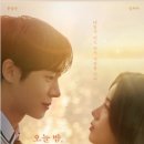 오늘밤 - 해남군 | 오늘밤
