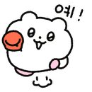 윤댕댕살롱 이미지