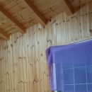 제주편백휴낭 이미지