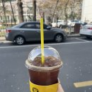 홀리몰리래쉬