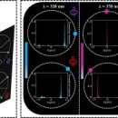현대특수사료㈜ 이미지