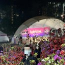 [11회 군포 철쭉축제] 다녀온 후기