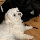 독립문 약손 한의원 이미지