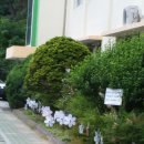 남정초교(병설유치원) | [학교폭력예방교육 - 창원남정초등학교] 따뜻한 세상의 그들