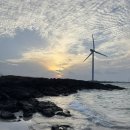 리치펄슨 이미지