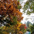 죽곡리 | 양구 비봉산 일출봉 초보자 등산 실시간 등산후기