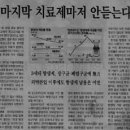 자연정혈요법 이미지