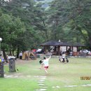 솔밭펜션캠핑장 이미지