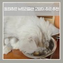 동원츄르 뉴트리플랜 후기 고양이 간식 추천 기호성 성분까지 솔직 리뷰