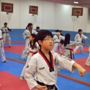 경희튼튼태권도 이미지