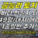 토지2-267[ 땅 하나 너머 바다! 한림읍 금능리 토지 매매(49평/대지/금능포구 근처/주택가 마을 안/1종일반주거) ]#금능리마을토 이미지