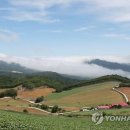 운유쉼터