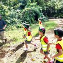 파주시유아숲체험원 이미지