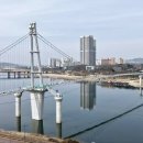 담백 이미지