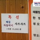 시를 쓰는 오리 이미지