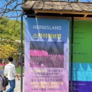 라데 | 서울 근교 경기도 아기랑 갈만한 곳 포천 허브아일랜드 라데봄축제 방문후기