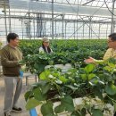 농가의 겨울 이미지