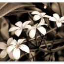 증산정보도서관 이미지