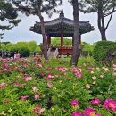 한밭수목원 이미지