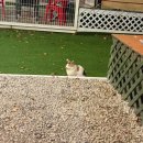 백운농업협동조합 | [경기 포천] 백운계곡 캠핑장🏕️ :: 청결 관리의 끝판왕 글램핑!