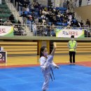 용인대 지노 태권 스쿨 이미지