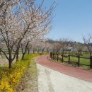 거창고등학교 이미지