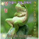 놀부전 - 동구 | 놀부전