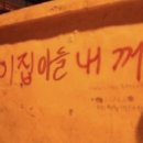 블루시엘 | 💍19. 전주 야외웨딩촬영 페더블루 후기 – 메종드시엘 헤메 만족 후기 [1편]