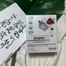 완전식품 - 19896 | 비타스프링 메타 프로바이오틱스 영지글루칸 | 영지버섯 베타글루칸 면역강화 미숫가루완전식품 솔직후기