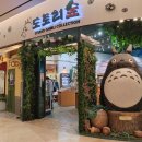 캐릭터전문샵 용팔이인형 | 도토리숲 잠실 롯데월드몰점, 너무 재미있는 지브리 소품샵