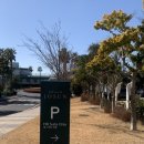 (주)더위트 | [그랜드조선제주] 신관 힐스위트 1탄 - 예약, 객실타입 등 숙박후기