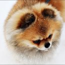 용담공원 이미지