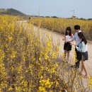 하늘정원 - 용인시 처인구 부곡로 80-20 | 하늘정원