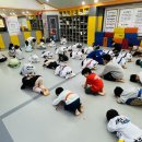 정암태권도장 이미지