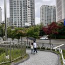 바른선치과의원 이미지