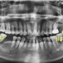 진솔치과의원 이미지