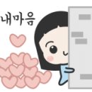 횡성참옻 이미지