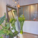 숭인로13길 이미지